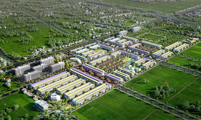 Dự án TNR Đồng Văn  
