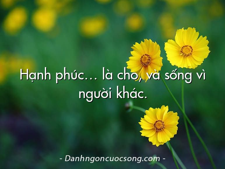 50 danh ngôn cuộc sống ý nghĩa giúp bạn sống sâu sắc hơn 50 danh ngôn cuộc sống ý nghĩa giúp bạn sống sâu sắc hơn