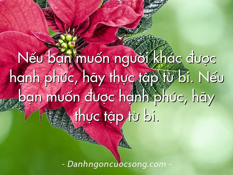 Danh ngôn cuộc sống hay giúp bạn trưởng thành hơn  